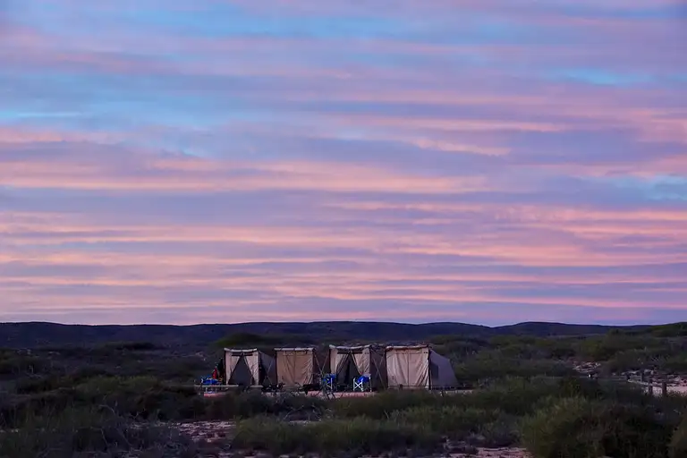 Best Ningaloo Reef Snorkelling Tour – Discover Vibrant Coral Gardens