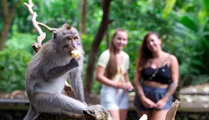 Day_7_12dayexperiencebali.original.jpg