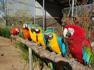 Maleny day tours