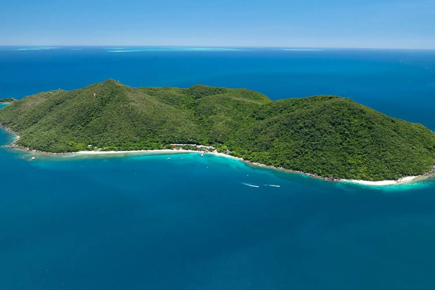 Fitzroy Island Glass Bottom Boat Experience