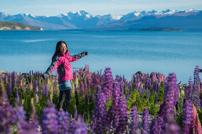 Aoraki Mt Cook & Glacier Landing Tour from Christchurch