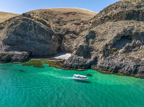 Eco-Certified Sea Wirrina Scenic Cruise