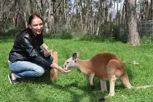 Cleland Wildlife Park Entry
