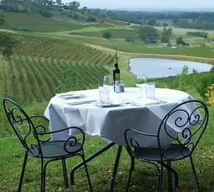 Hunter Valley scenic flight