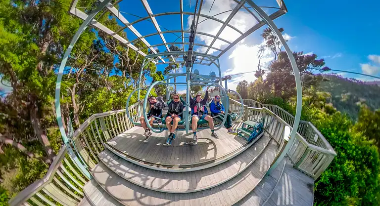 Skywire Ride Through Native Forest Canopy