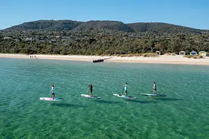 Tours at Mornington Peninsula
