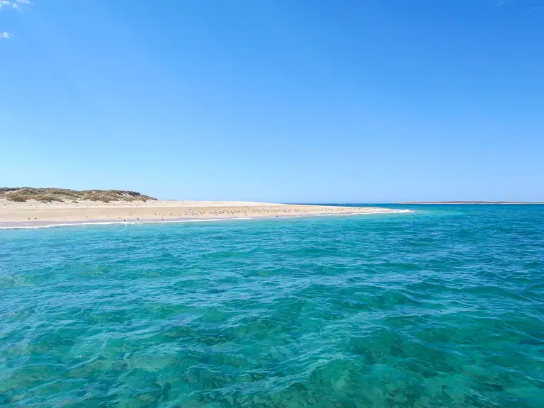Diving the Westside of Ningaloo Marine Park