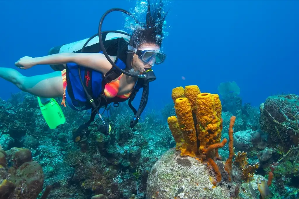 Single Scuba Dive at Wave Break Island