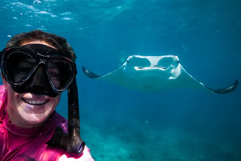 Ningaloo Reef Turtle Snorkelling Adventure - 2.5 Hours
