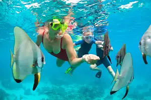 Turtle Snorkel Sail | From Waikoloa