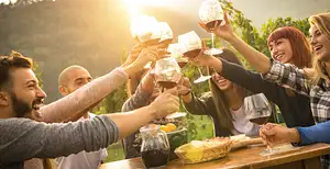 Mornington Peninsula Winery