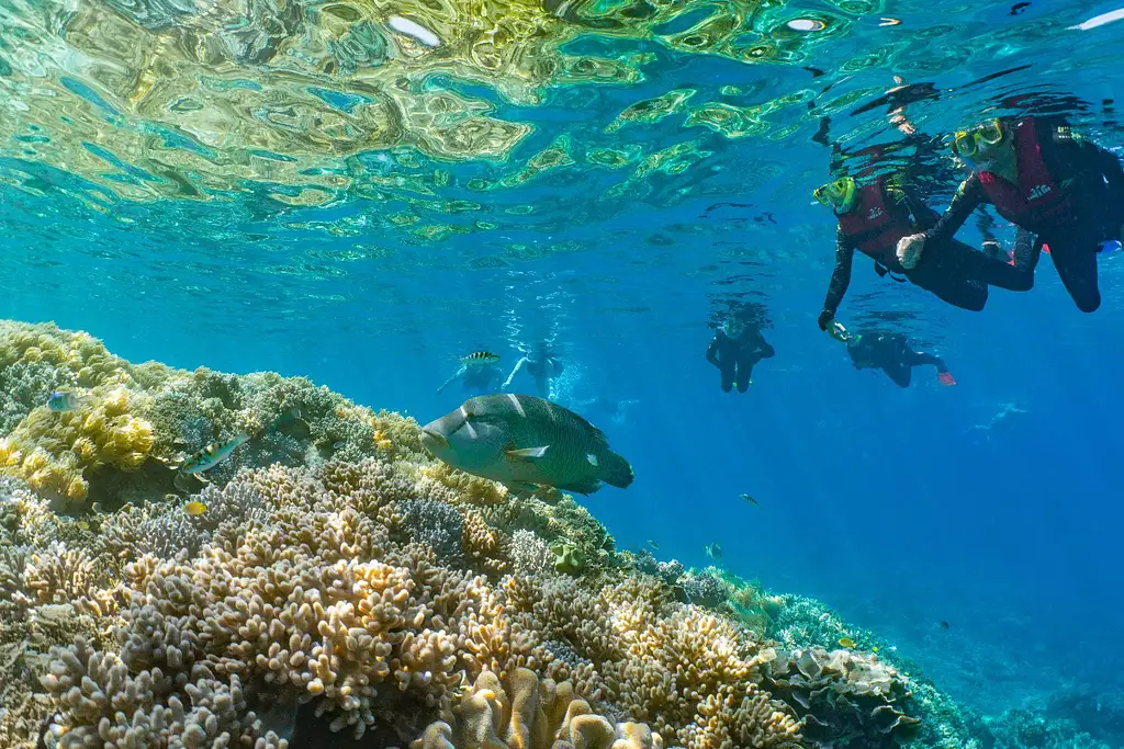 Moore Reef Pontoon Great Barrier Reef Cairns