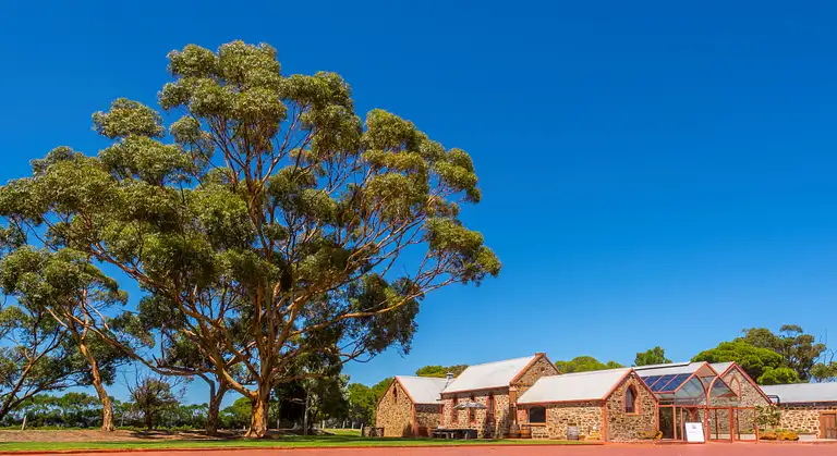McLaren Vale Wine Tasting Tour from Adelaide