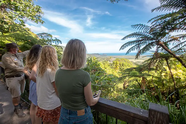 Ancient Daintree Rainforest Guided Walk