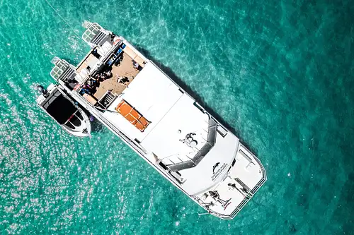 Moreton Island Day Cruise & Eco Marine Safari