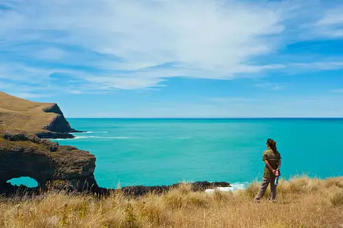 Half Day Scenic Nature Safari 4WD