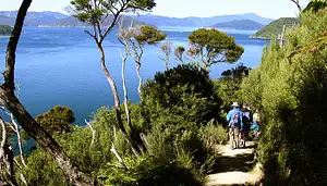 Motuara Island Bird Watchers Cruise