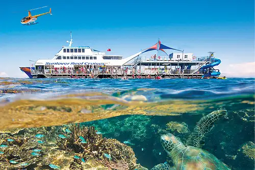 Reef ZOOM Morning Moore Reef Experience | Cruise/Fly