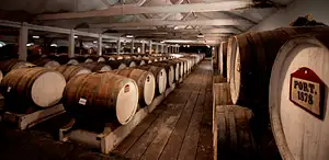 Barossa Valley tours