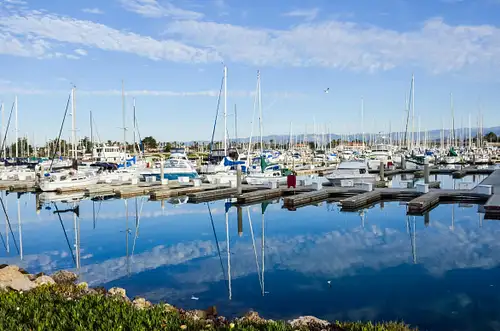 Newport's champagne premium brunch cruise