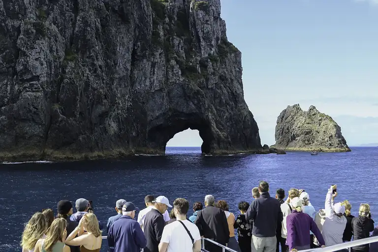 Discover the Bay Cruise