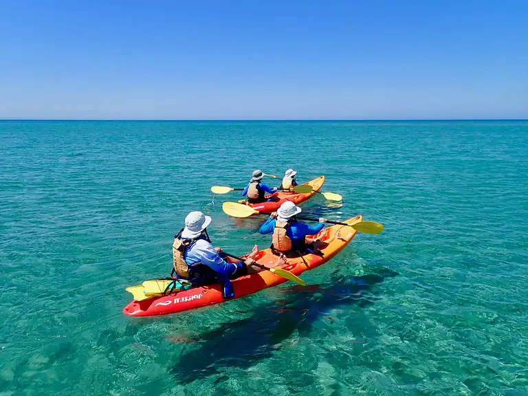 Ningaloo Reef Turtle Kayaking and Snorkelling Experience